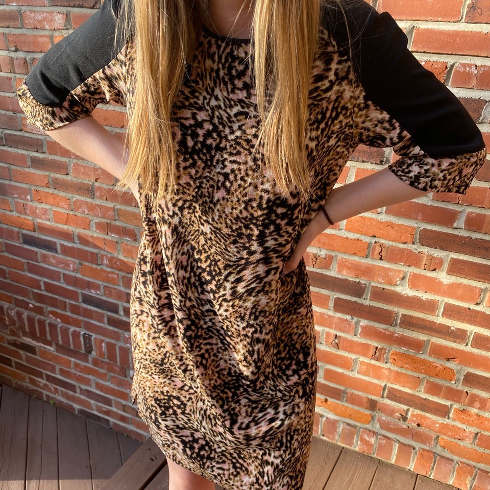 Maggy London Cheetah Dress Size 8